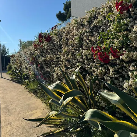 Sea Star Vala Mar Apartman