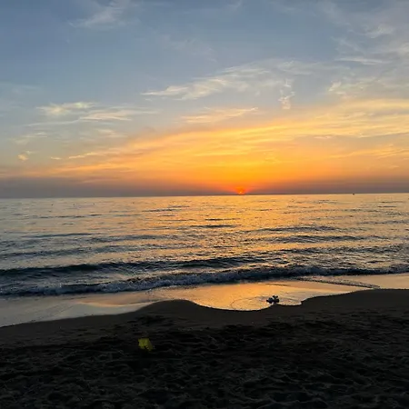 Sea Star Vala Mar * Hamallaj