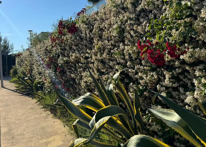 Sea Star Vala Mar Apartment